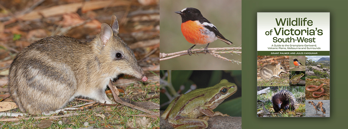 Photographic guide to the mammals, birds, reptiles and frogs of Victoria's South-West